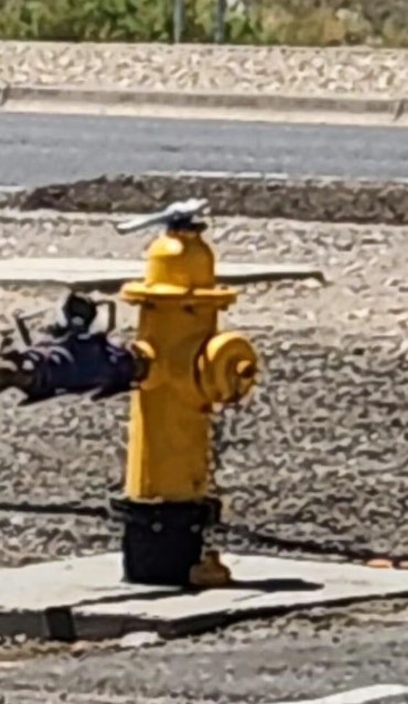 Land for Sale in Albuquerque New Mexico 87121